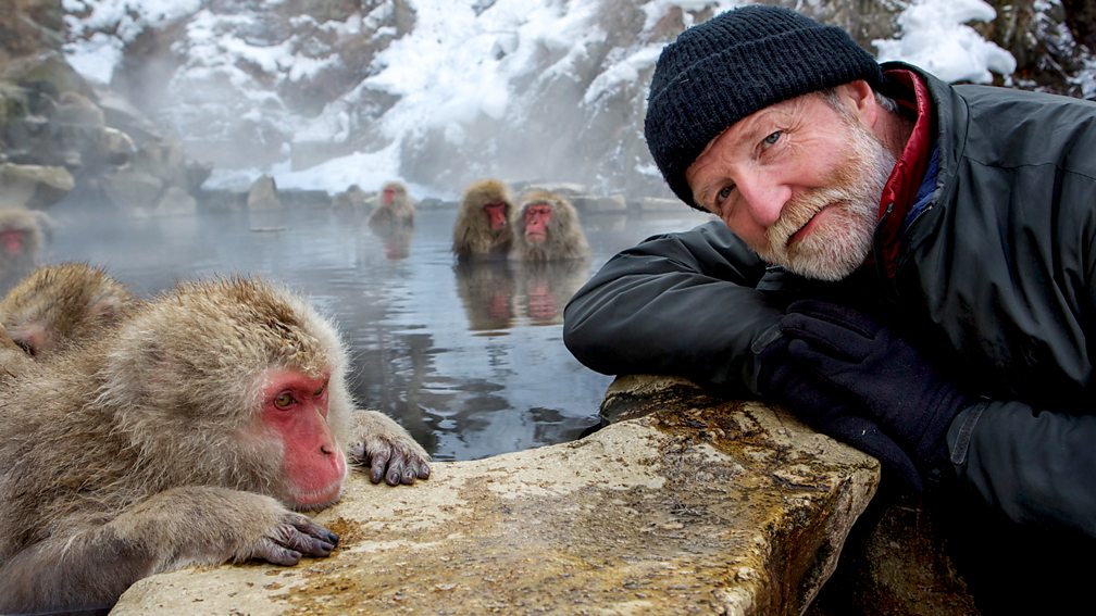 Dr George McGavin and Japanese Macaques