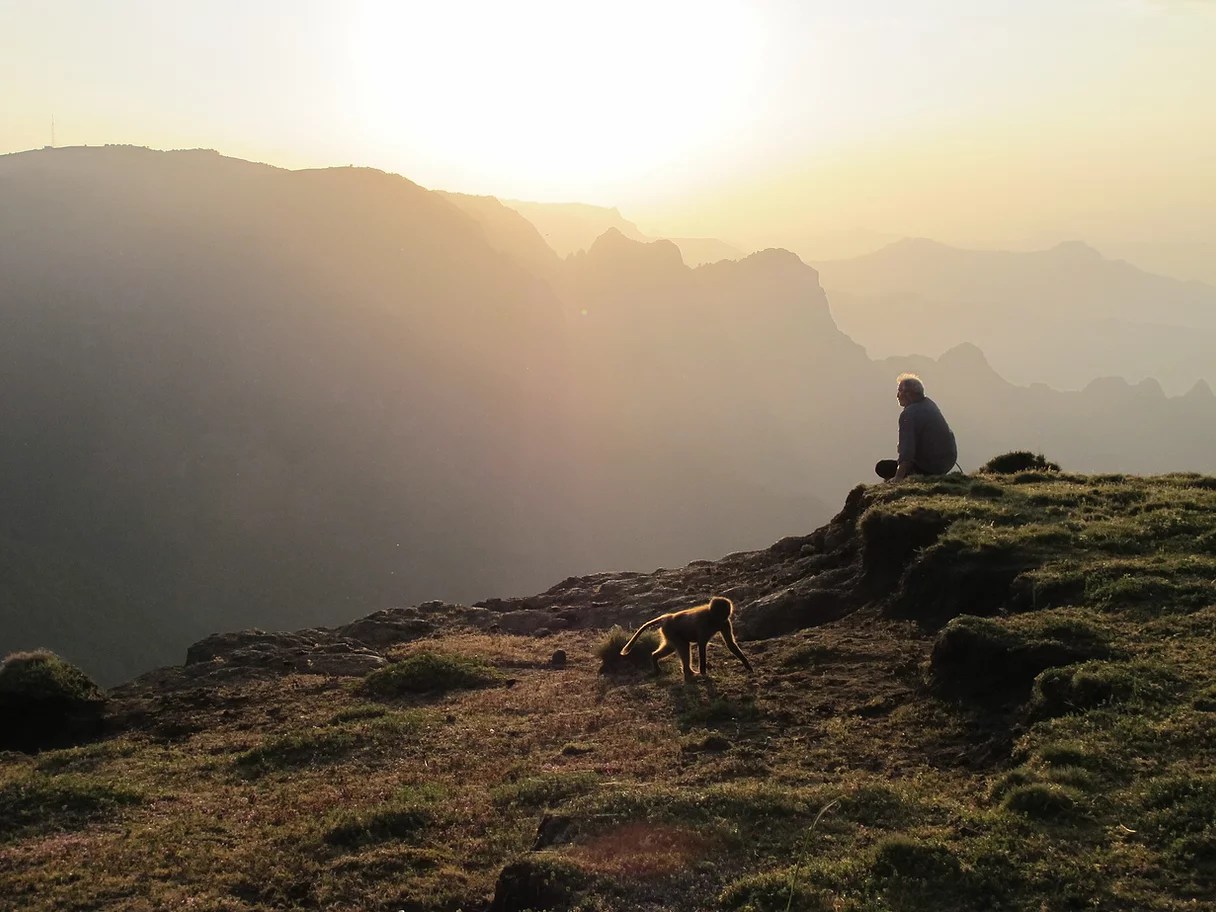 Dr George McGavin - private collection