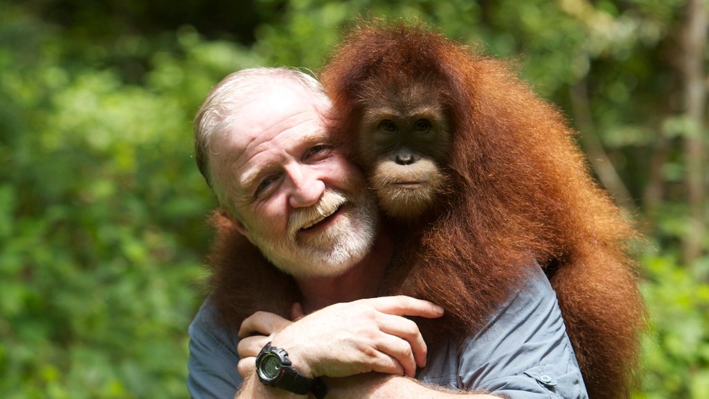 Dr George McGavin with Dora the orangutan while filming Monkey Planet. Photo: Claire Thompson