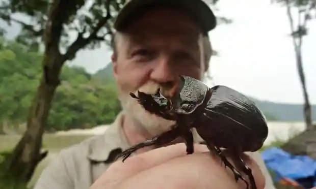 Dr George McGavin and a giant beetle. Lost Land of the Volcano, BBC