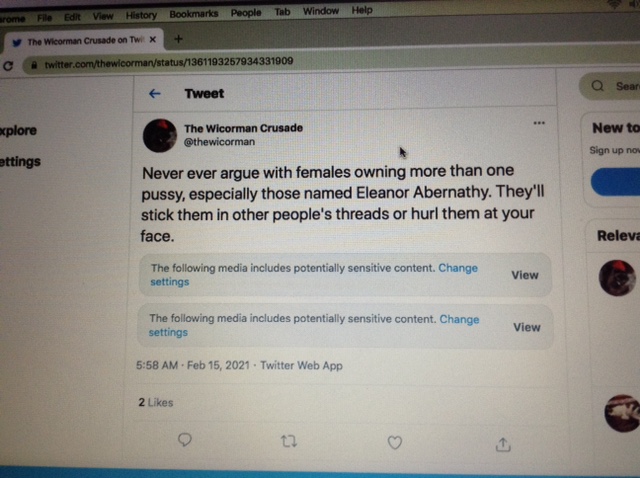 Bart Van Assen AKA Wilding Rocks AKA The Wicorman AKA and stalking people from Twitter and getting banned from Twitter