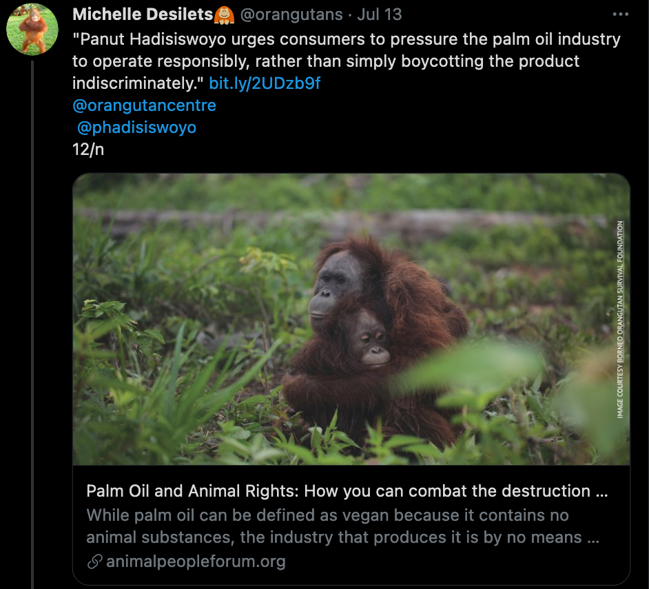 Michelle Desilets greenwashing