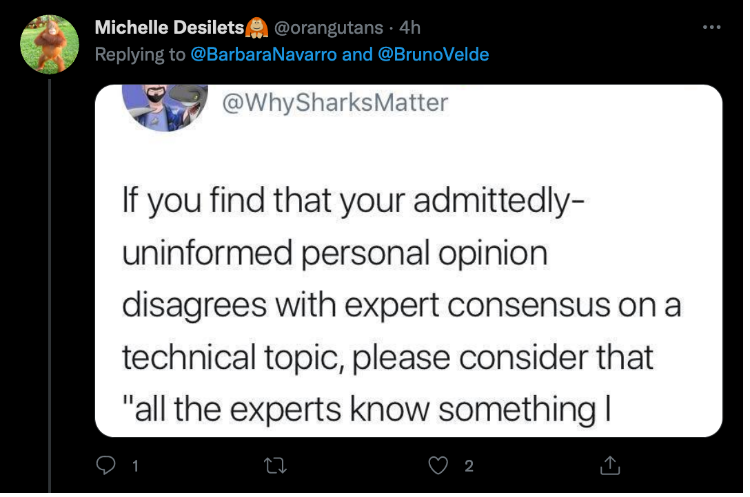 Michelle Desilets threatening and harassing people