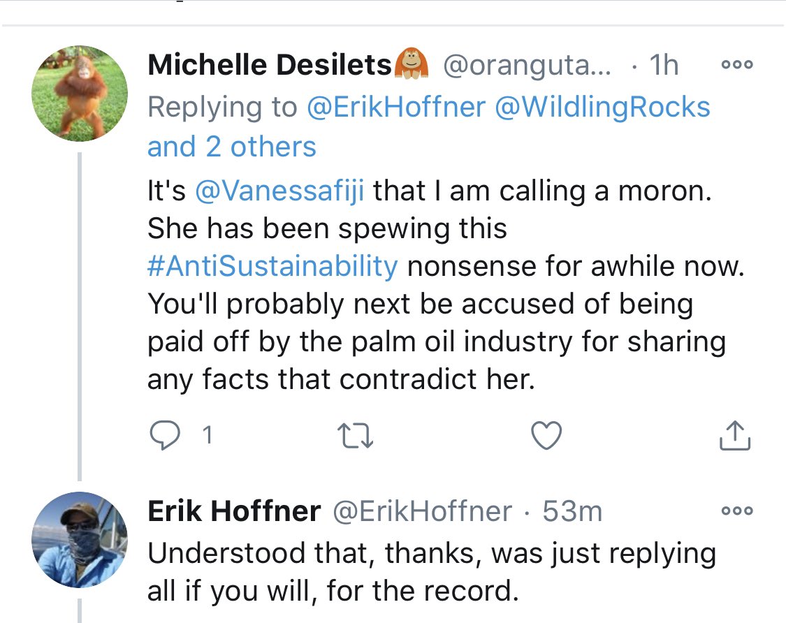 Michelle Desilets threatening and harassing people