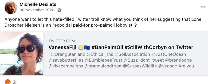 Michelle Desilets threatening and harassing people