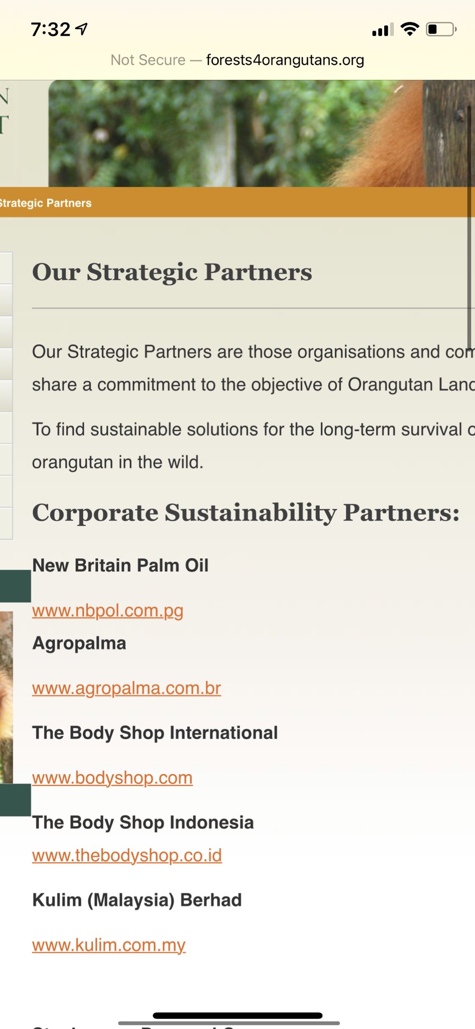 New Britain Palm oil a partner of orangutan land trust