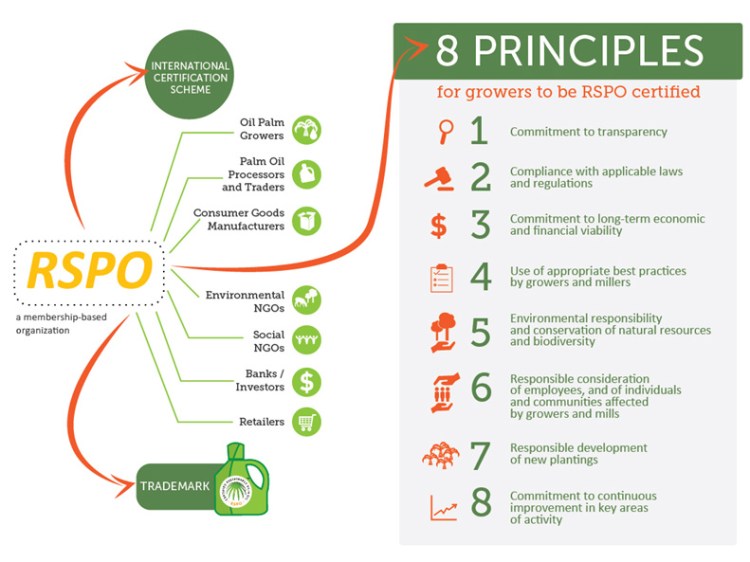 rspo_principles - 8 principles for growers - Vagueness in Language
