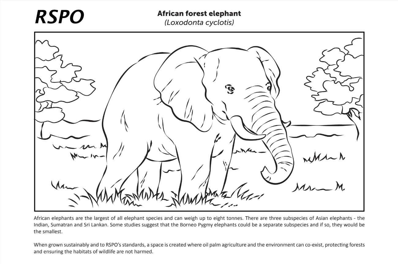RSPO greenwashing targeting young children