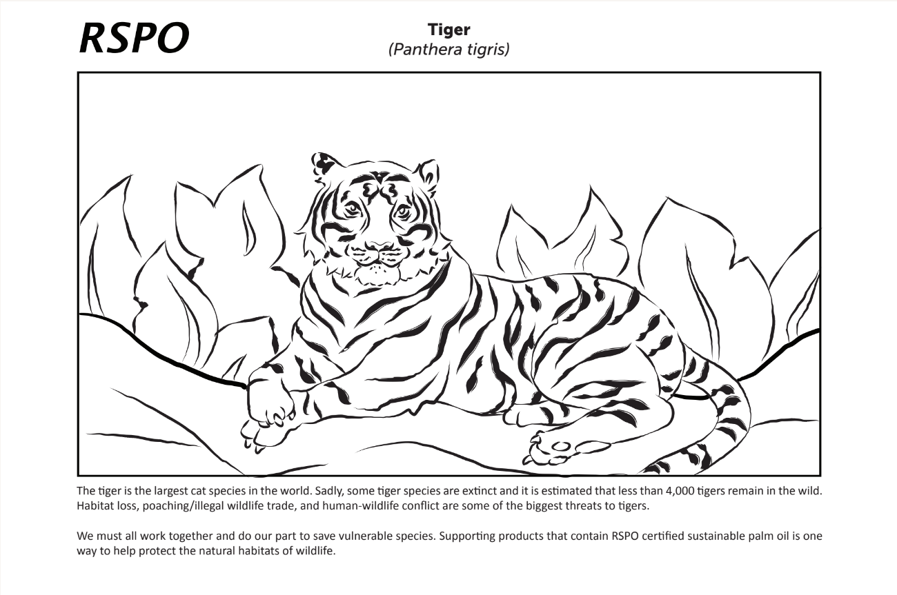 RSPO greenwashing targeting young children