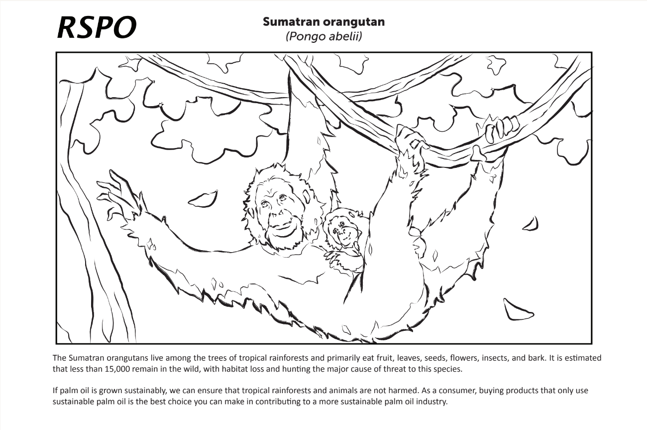 RSPO greenwashing targeting young children