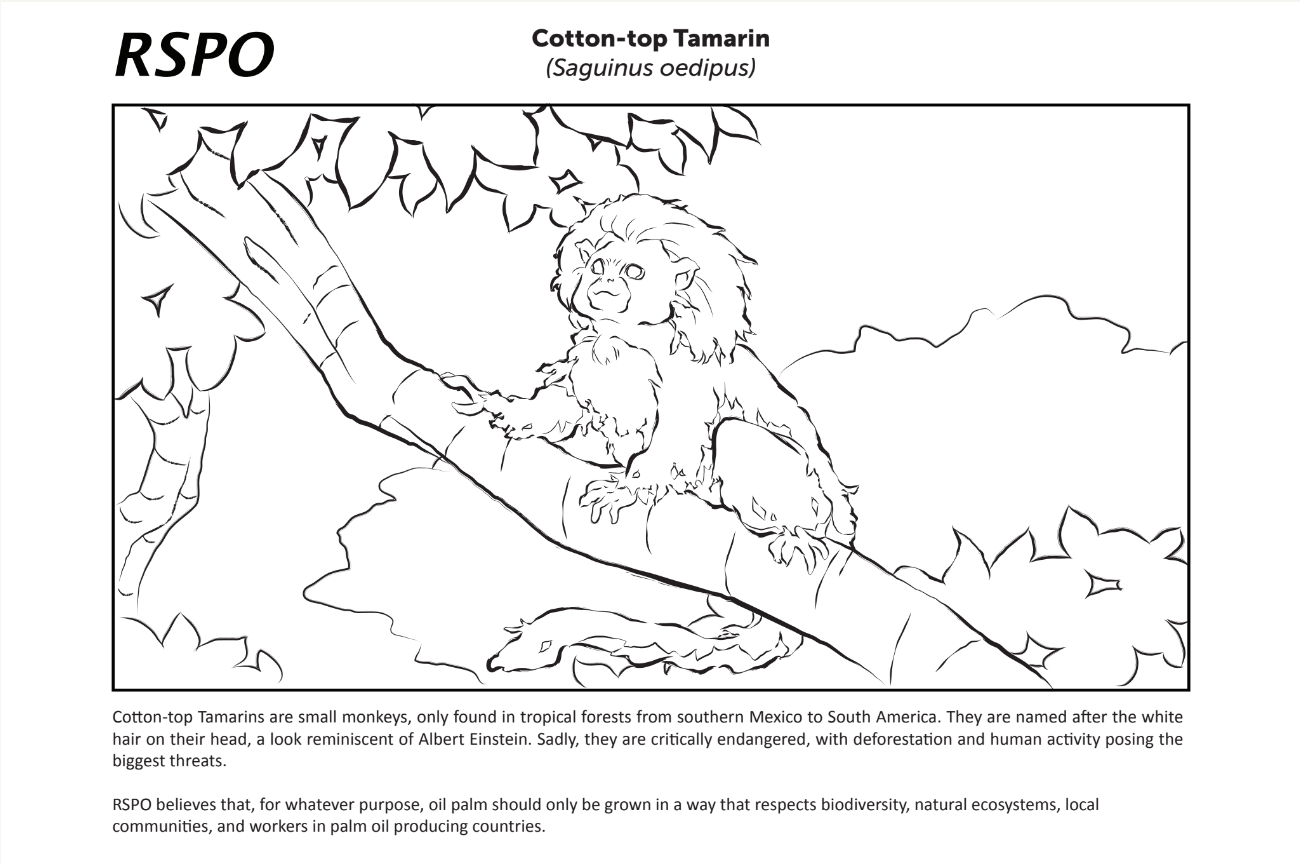 RSPO greenwashing targeting young children