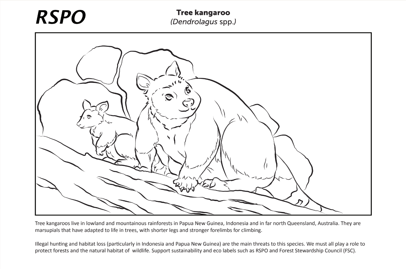 RSPO greenwashing targeting young children