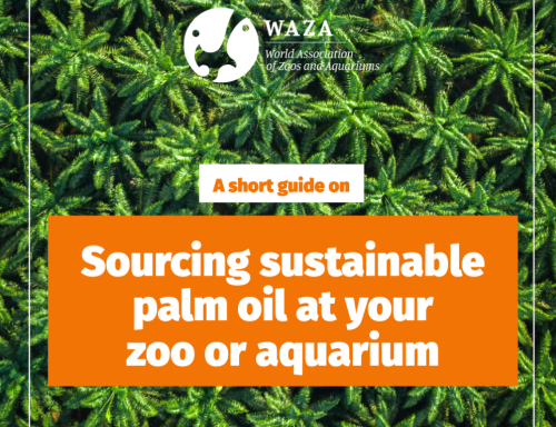 WAZA - Guide to Greenwashing in Zoos for sustainable palm oil
