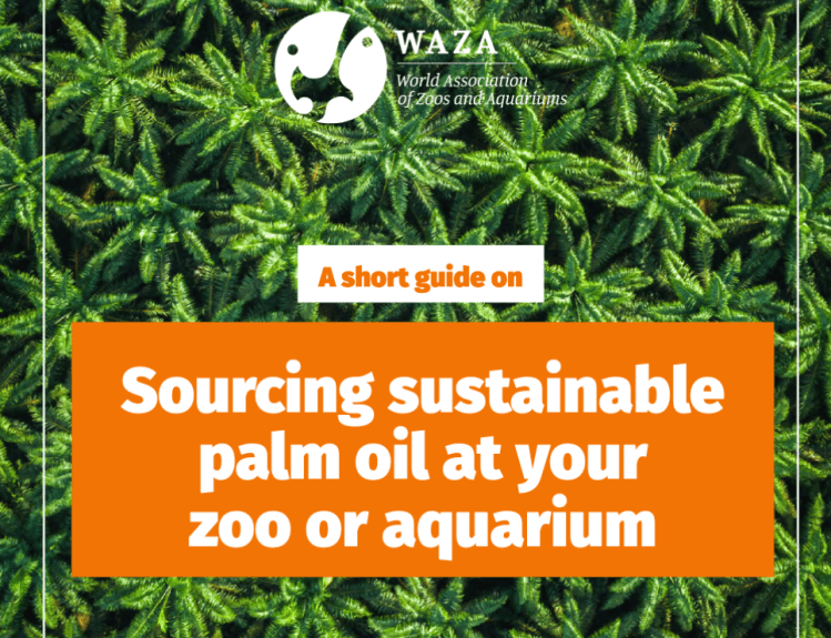 WAZA - Guide to Greenwashing in Zoos for sustainable palm oil