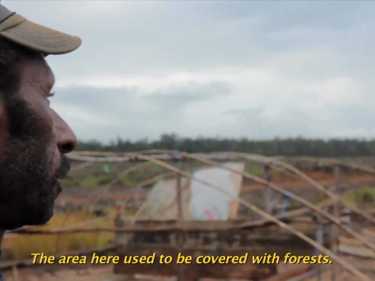 Divide and Intimidate: The Playbook of Palm Oil&nbsp;Landgrabs