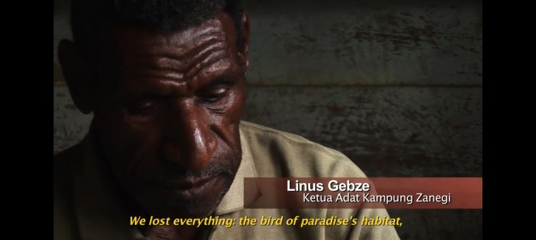 Papua New Guinea -landgrabbing for palm oil