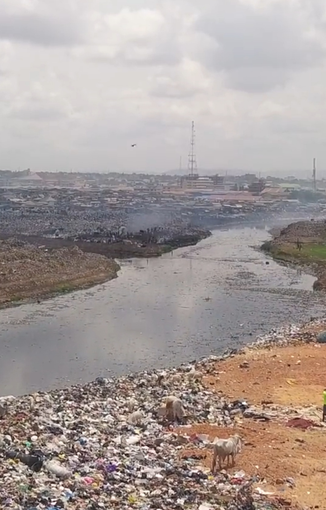 Why you should stop buying new clothes