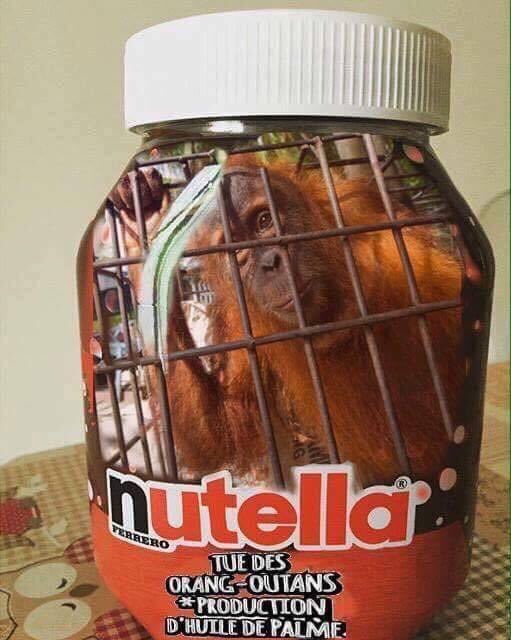 Ferrero's Nutella kills orangtuans