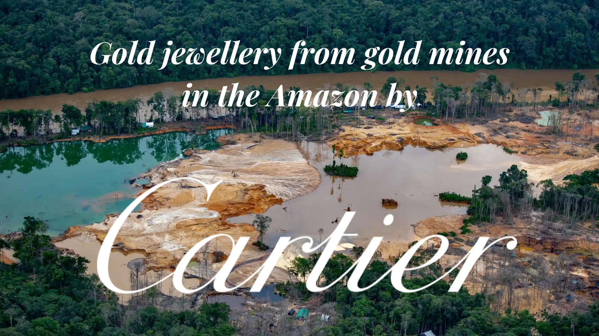 Cartier - gold mining in their supply chain is linked to deforestation, ecocide, slavery and death of Indigenous Peoples