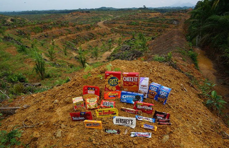 Hersheys is responsible for palm oil deforestation despite supposedly using "sustainable" palm oil.