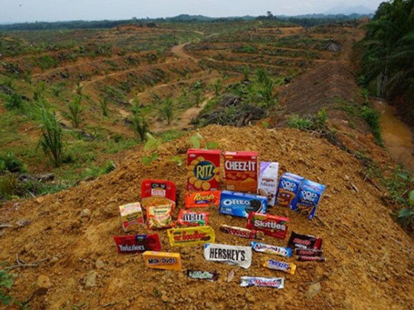 Treespiracy: Forests are being destroyed against a background of corruption, illegality and&nbsp;apathy