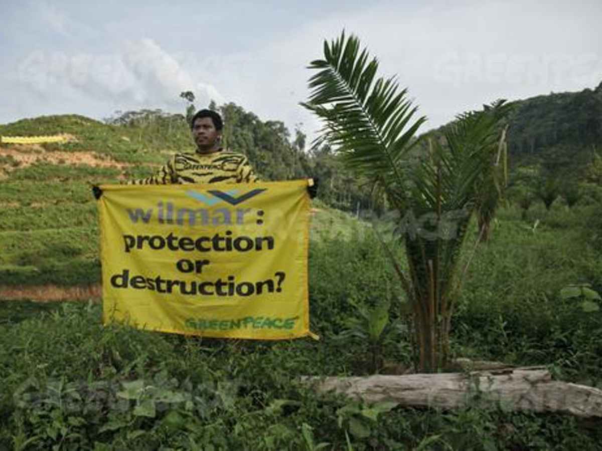 Organised Crime: A Top Driver of Global&nbsp;Deforestation