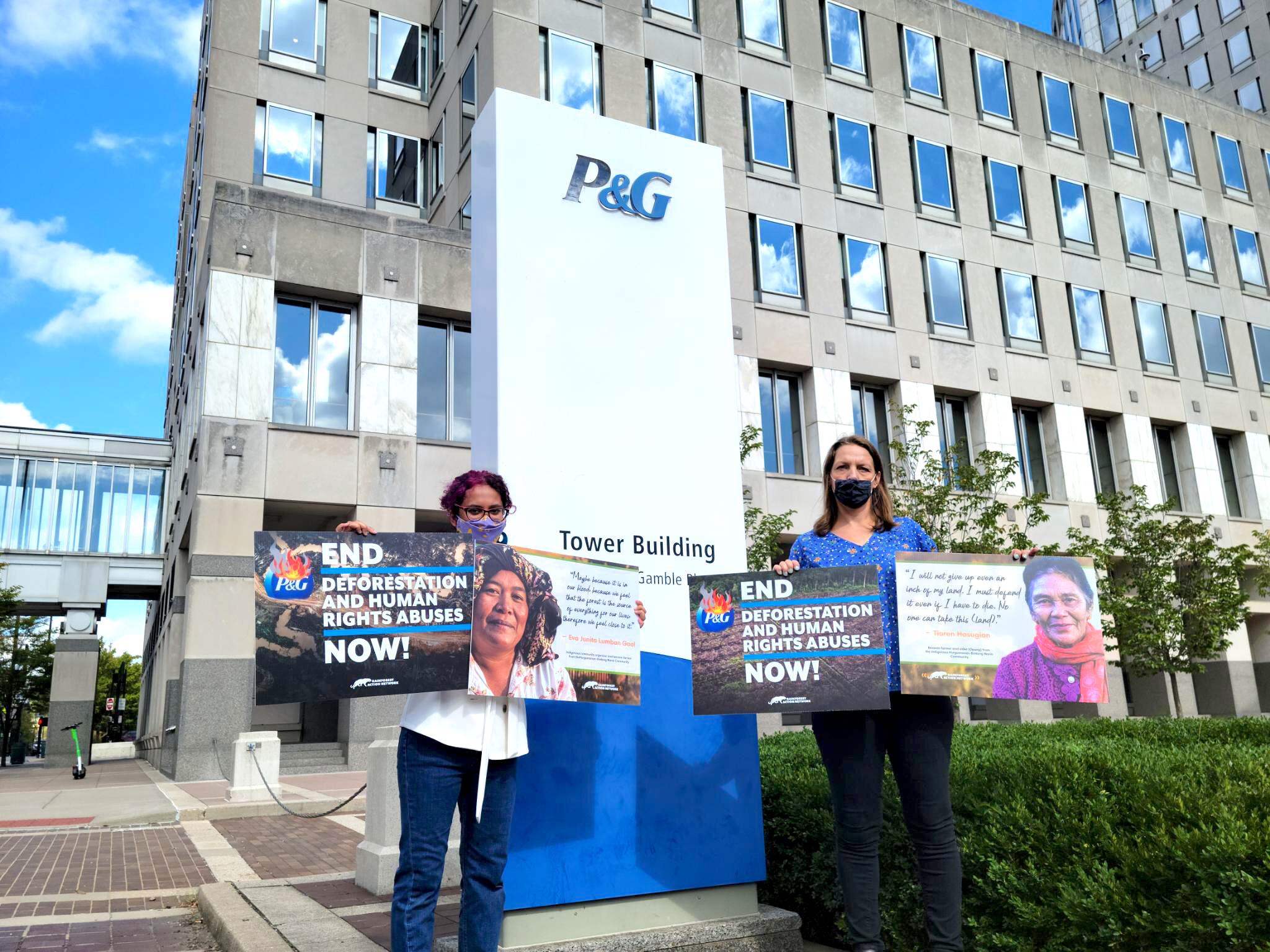 Procter & Gamble are causing massive deforestation for palm oil