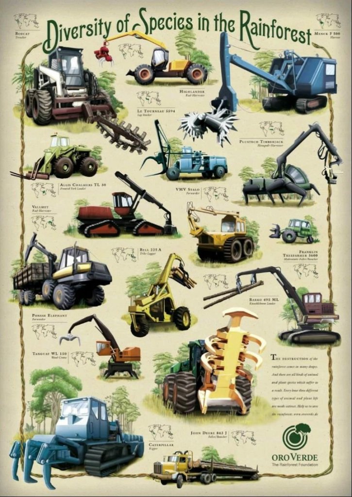 [Pictured] 'Diverse Species of the Rainforest by Oro Verde - the Rainforest Foundation (2009).