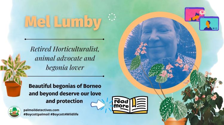 Mel Lumby - 2nd slide - Beautiful begonias of Borneo and beyond deserve our love and protection