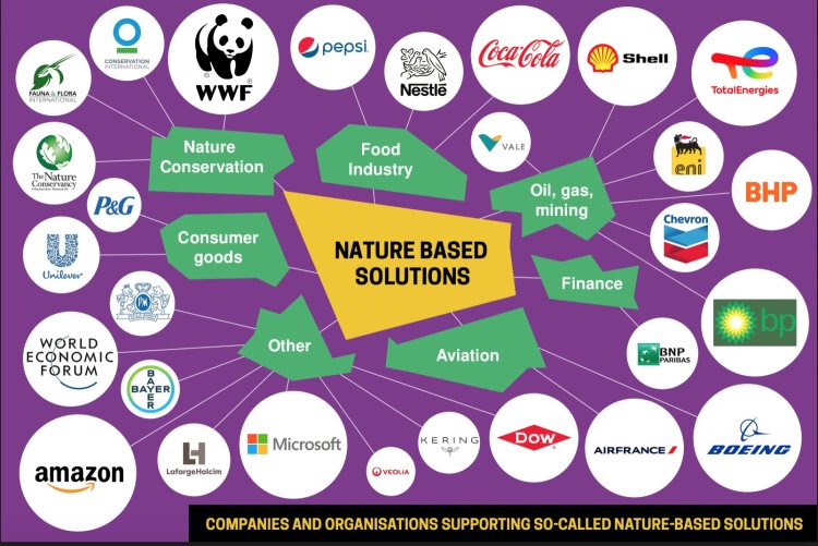 Nature Based solutions WWF