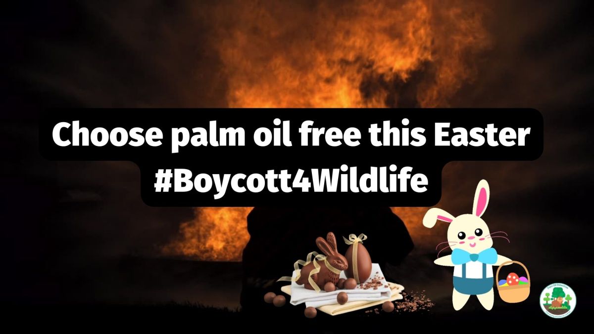 Buy Palm Oil Free Chocolate This&nbsp;Easter