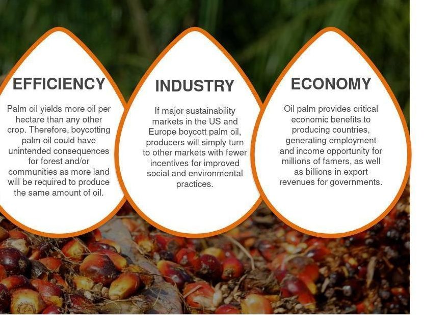 Greenwashing example - WWF's guide for consumers about why they should not boycott palm oil is based around economic reasons only