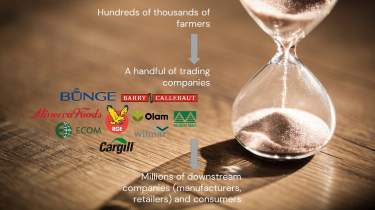 research opaque palm oil sourcing 2022