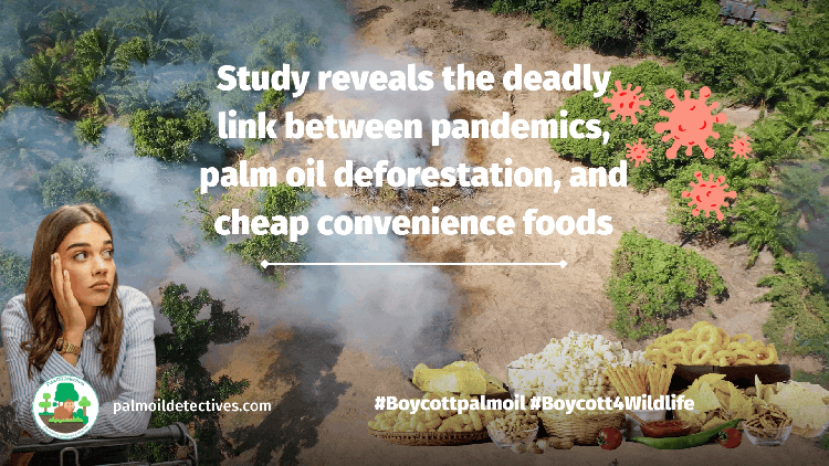 Study reveals the deadly link between pandemics, palm oil deforestation, and cheap convenience foods GIF