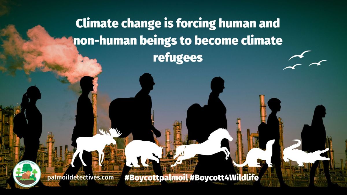 Climate change is forcing human and non-human beings to become climate&nbsp;refugees