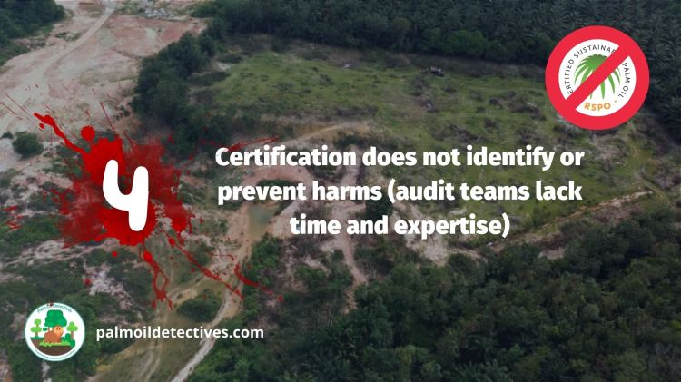 4. Certification does not identify or prevent harms. Audit teams lack time and expertise