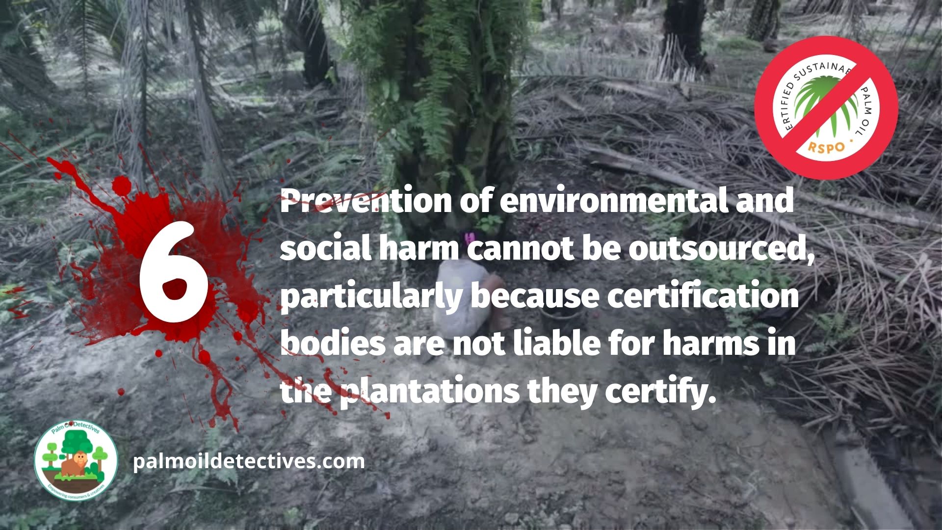 6. Prevention of environmental and social harm cannot be outsourced, particularly because certification bodies are not liable for harms in the plantations they certify
