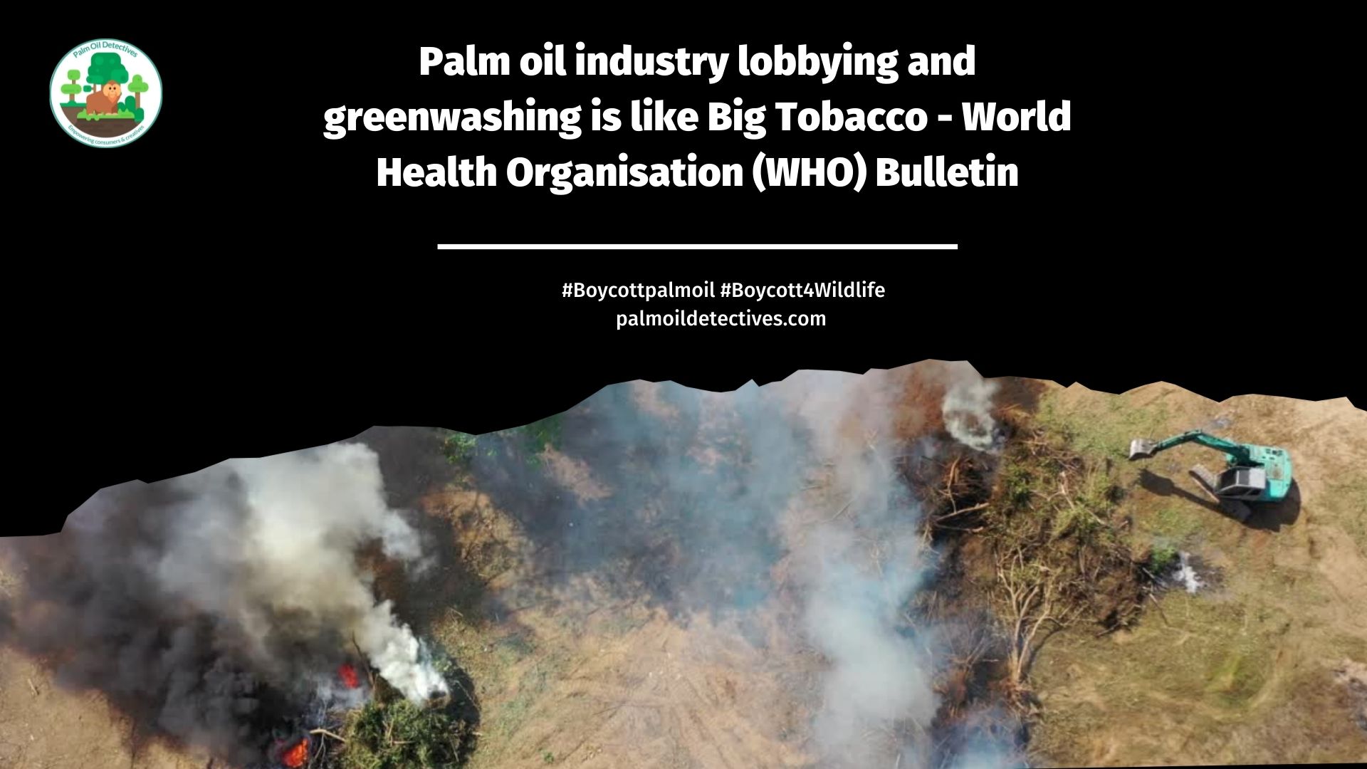 WHO Report - Palm Oil Industry lobbying is like Big Tobacco 3