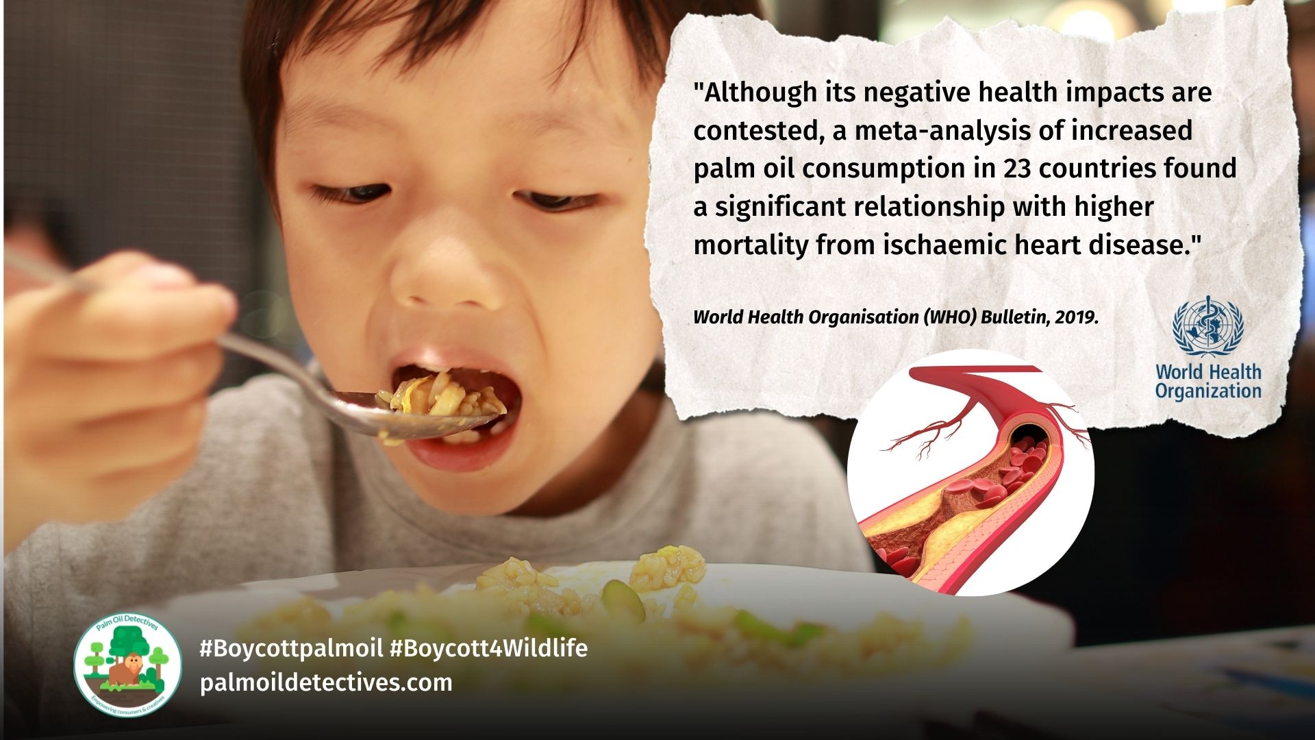 WHO Report - Human health is affected by palm oil in SE Asia, including children's health