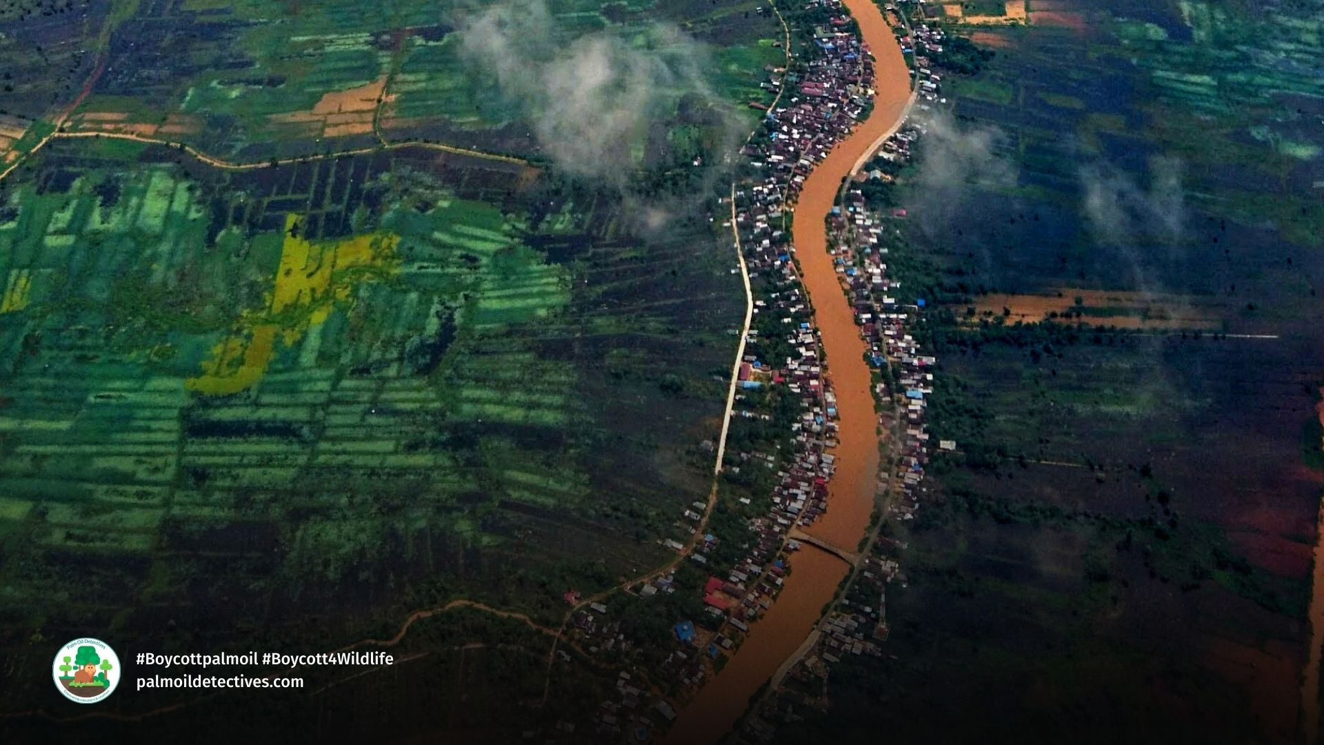 Barito River -The largest river in South Kalimantan Borneo by Aditya Perdana Getty Images (3)