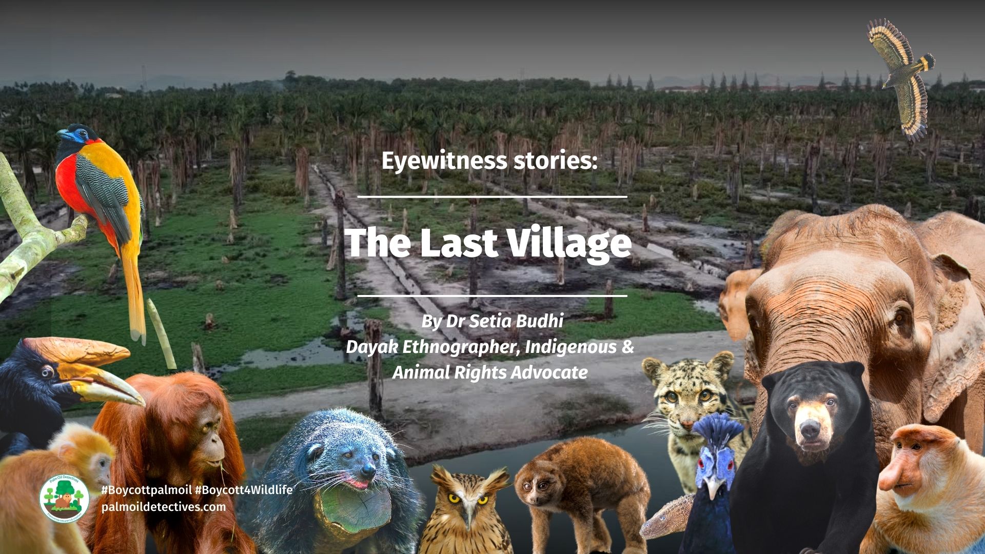 Eyewitness Story by Dr Setia Budhi The Last Village cover image 2