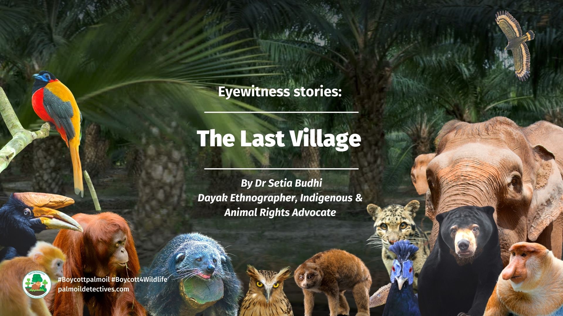 Eyewitness Story by Dr Setia Budhi The Last Village cover image 2