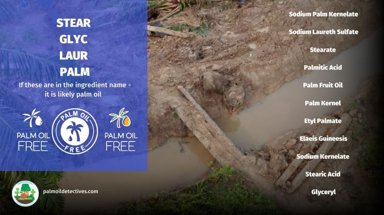 how-to-easily-identify-palm-oil-in-products-even-when-its-not-clearly-labelled