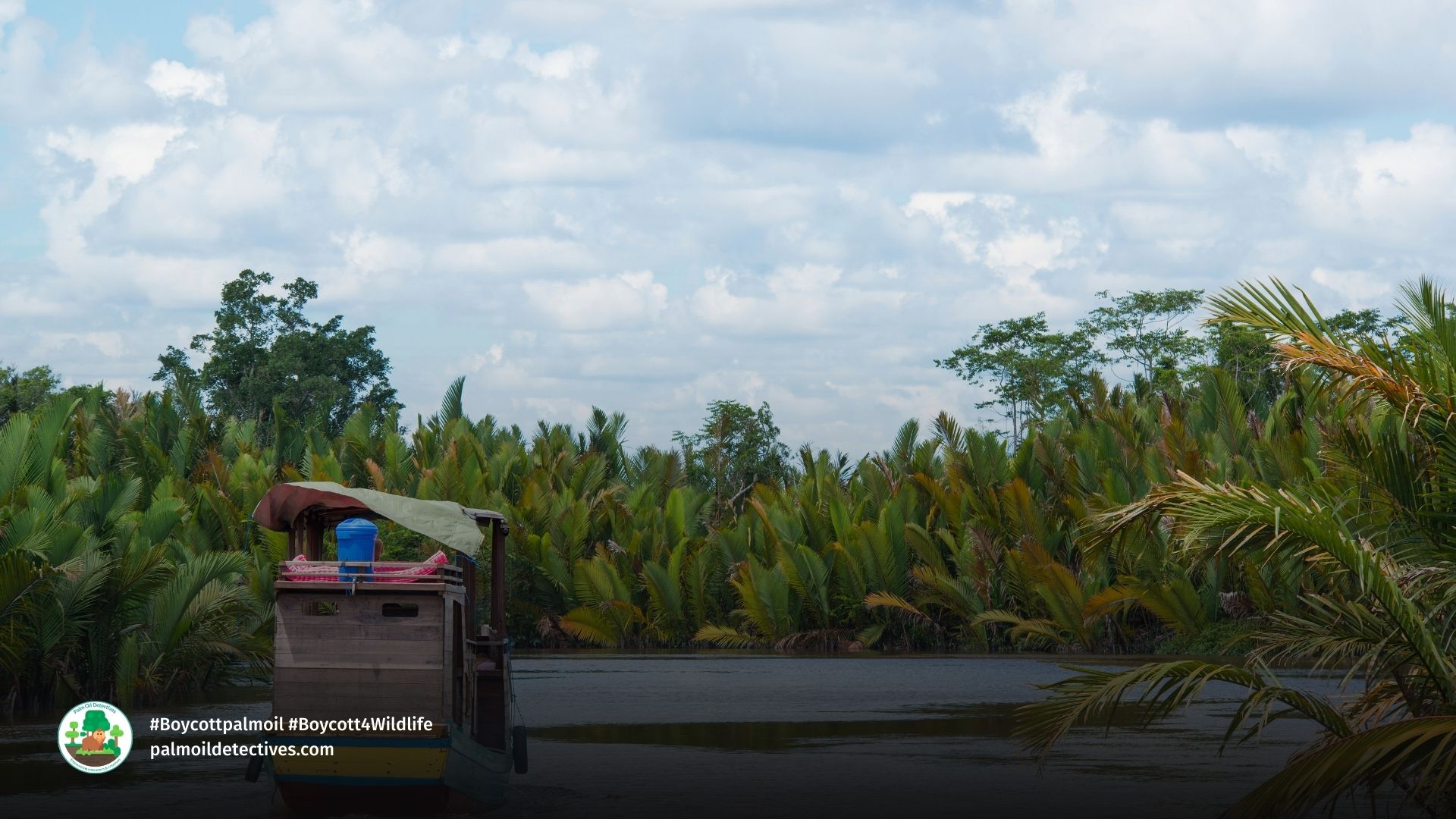 Klotok traditional river boat on the Sekonyer River Borneo Central Kalimantan By Guenterguni Getty Images