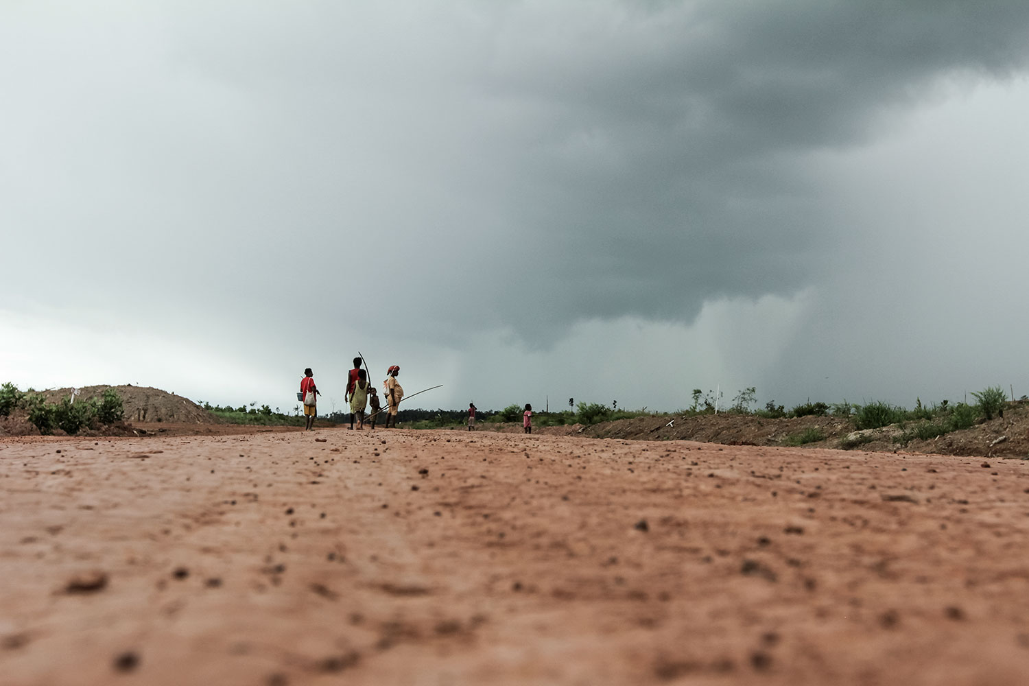 Merauke MIFEE food estate by Nanang Sujana
