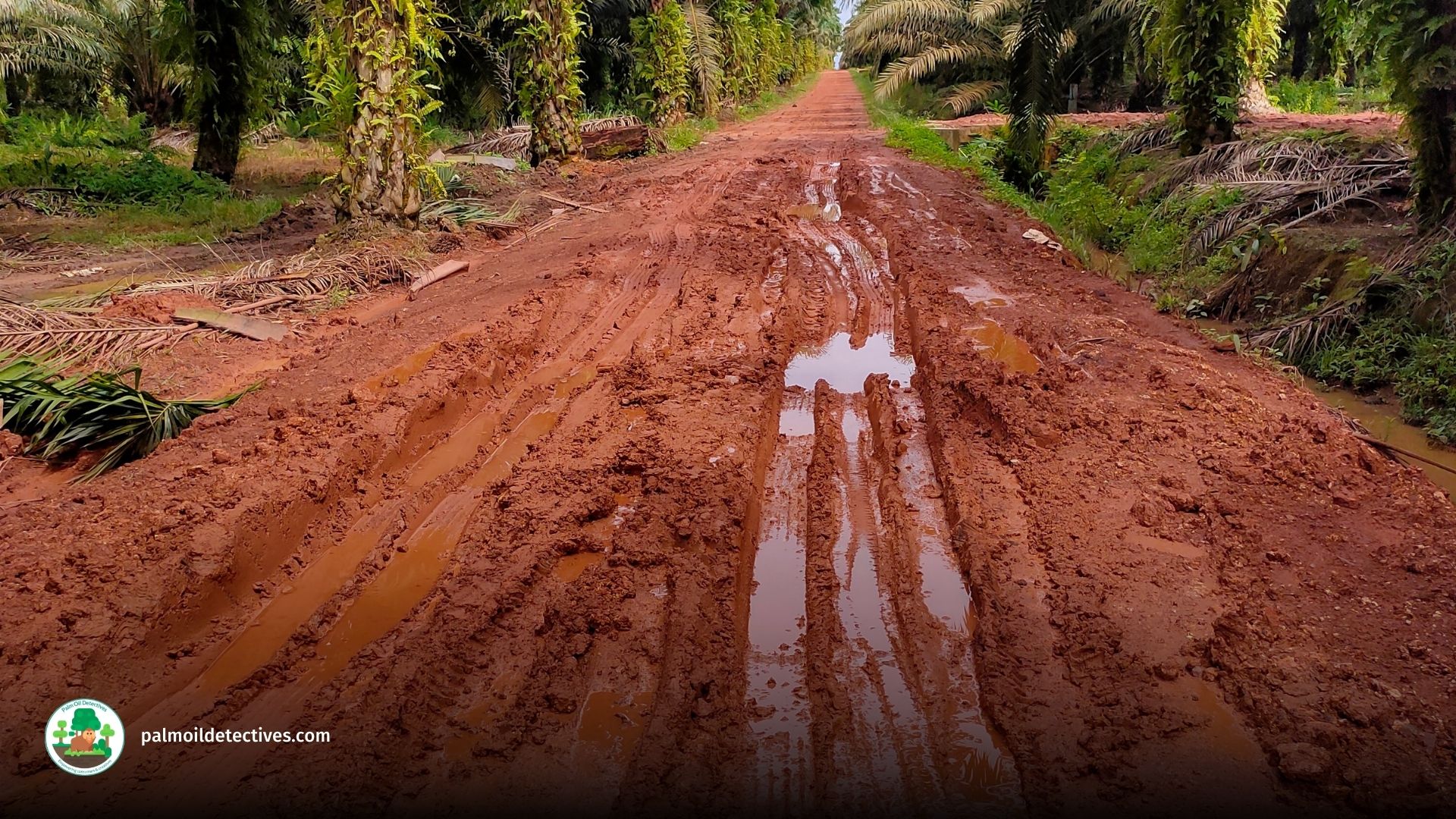 The red land of Merauke by Rafael Fatuan for Getty Images. 
