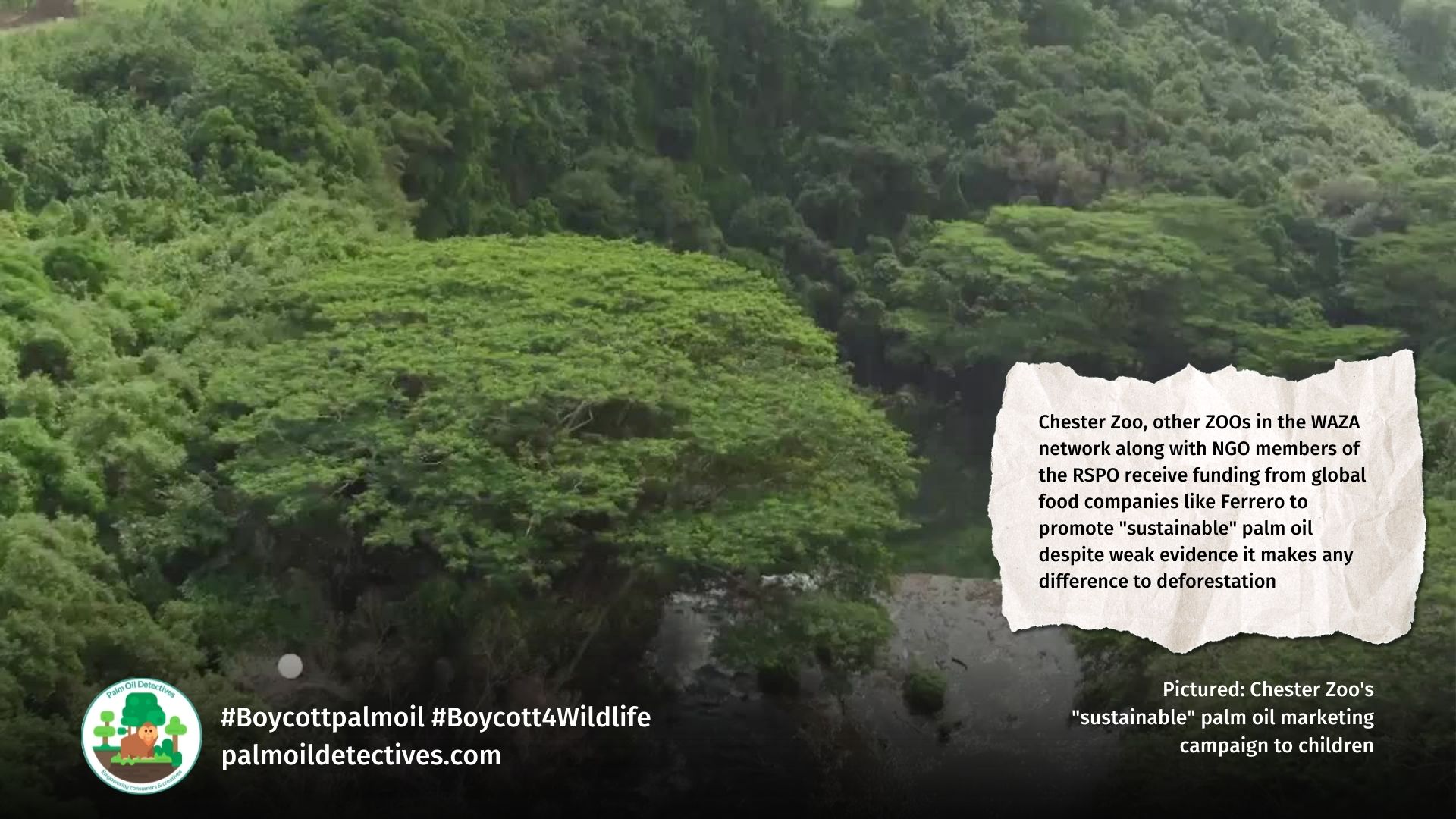 WHO Bulletin Report: Greenwashing and lobbying by the RSPO and RSPO members