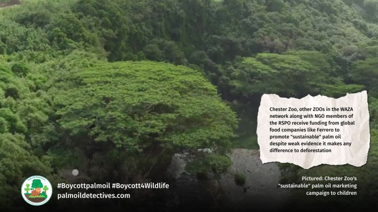 WHO Bulletin Report: Greenwashing and lobbying by the RSPO and RSPO members