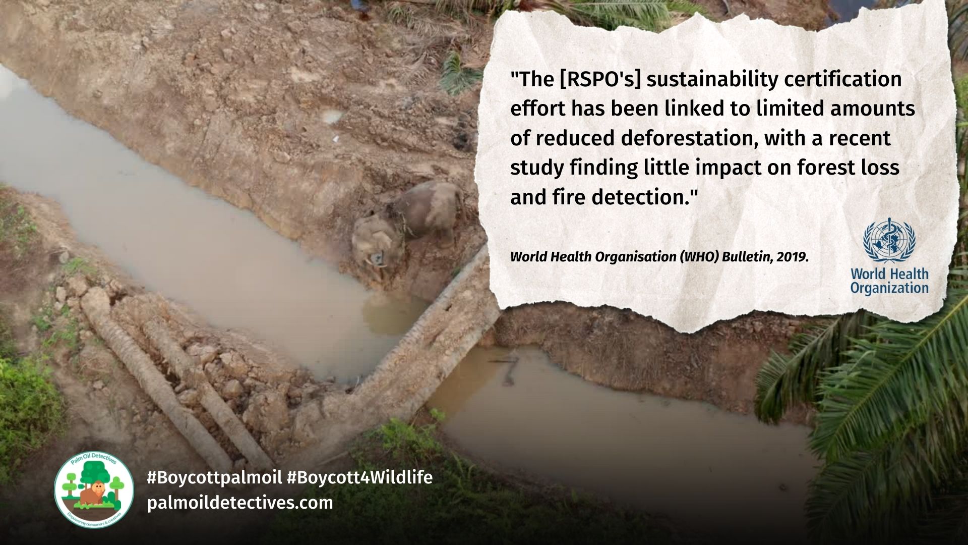 WHO Bulletin Report: Greenwashing and lobbying by the RSPO and RSPO members. RSPO is linked to limited amounts of reduced deforestation.