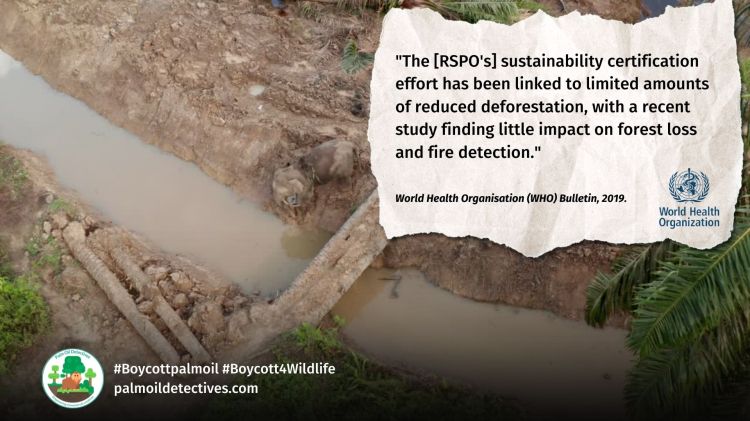 WHO Bulletin Report: Greenwashing and lobbying by the RSPO and RSPO members. RSPO is linked to limited amounts of reduced deforestation.